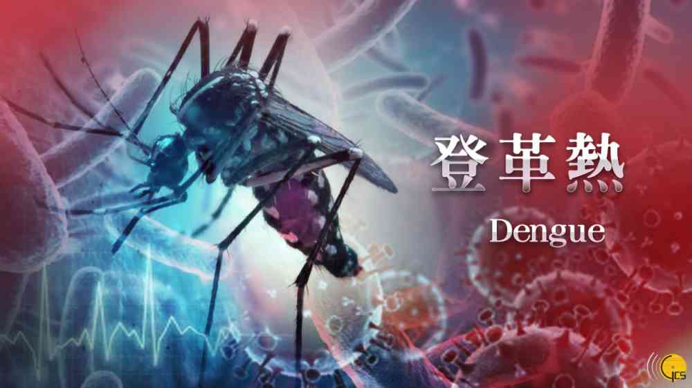 本澳正處登革熱傳播高風險季節 衛生局呼籲居民注意加強防範